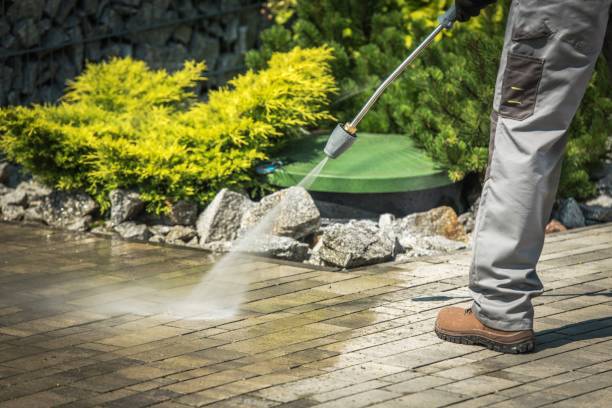 Best Vinyl Siding Pressure Washing in Somers, WI